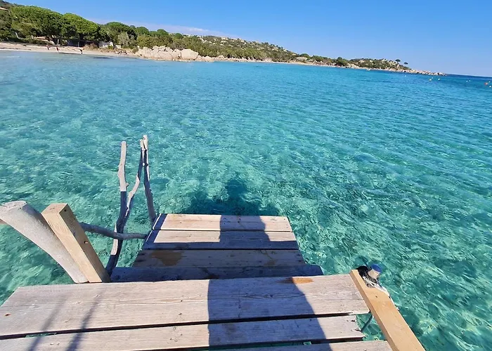 Marcaléone Corse Du Sud Cirendinu