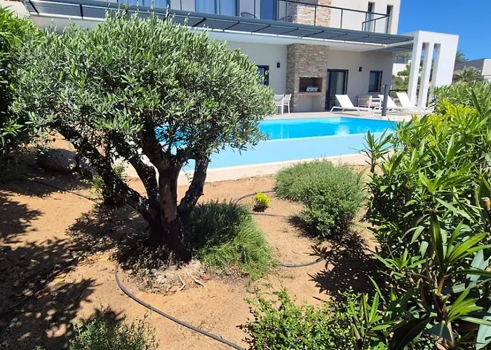 Marcaléone Corse Du Sud Cirendinu
